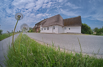 ferienhaus-nordeeurlaub-familie